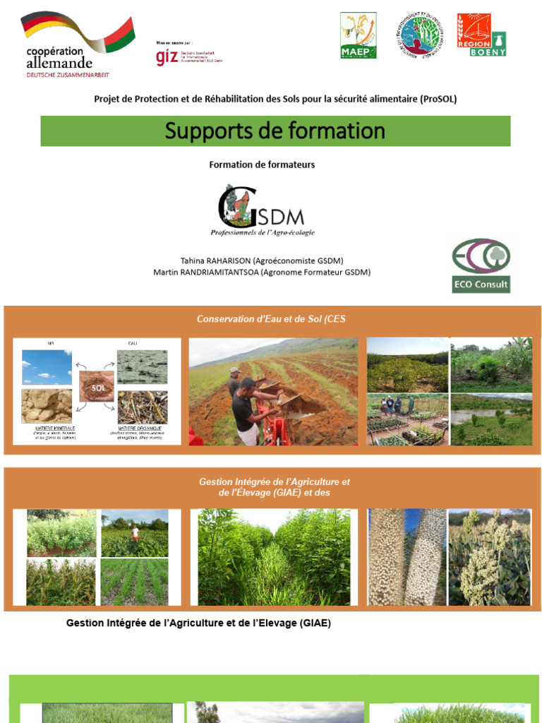 Formation sur la Gestion des Sols et Pâturages | PDF | Fourrage | Pâturage