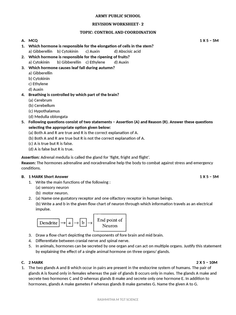 Control and Coordination Worksheet | PDF | Hormone | Endocrine System