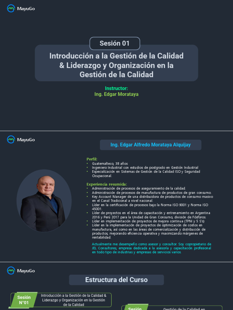 Sesión 1 - Gerencia de La Calidad y Mejora Continua | PDF | Calidad ...