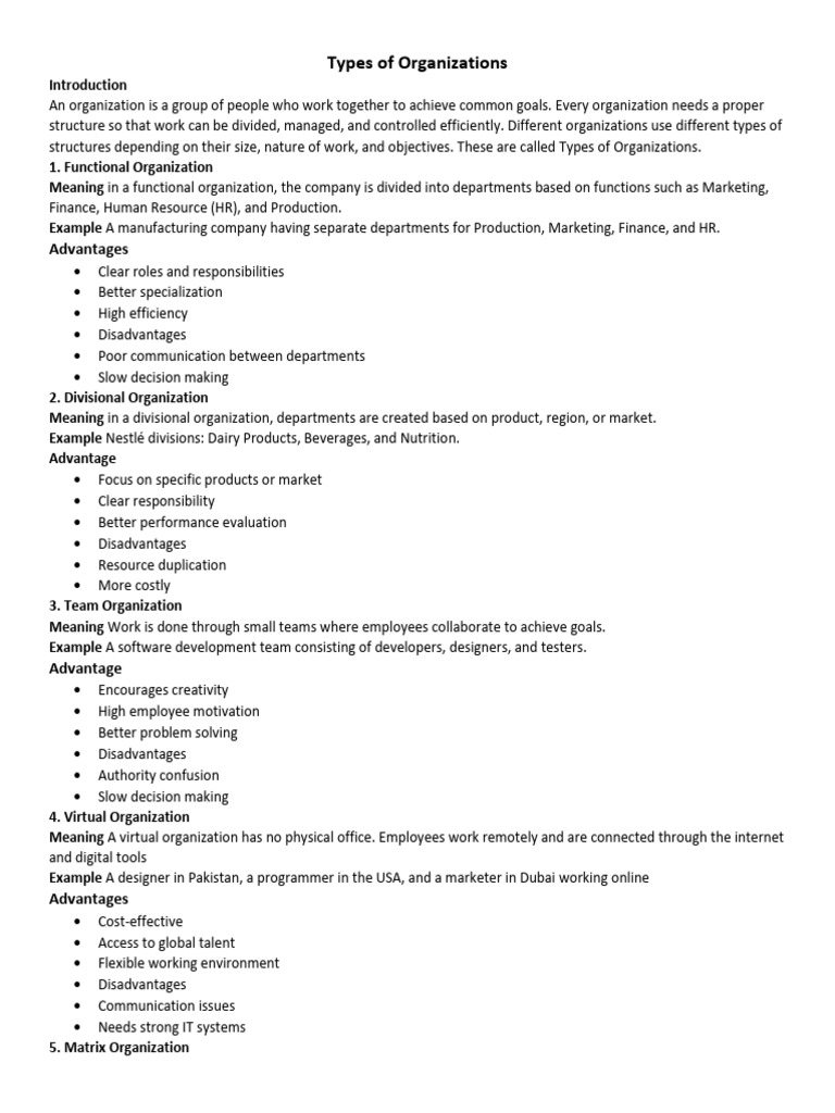 Types of Organizational Structures Explained | PDF | Organizational ...