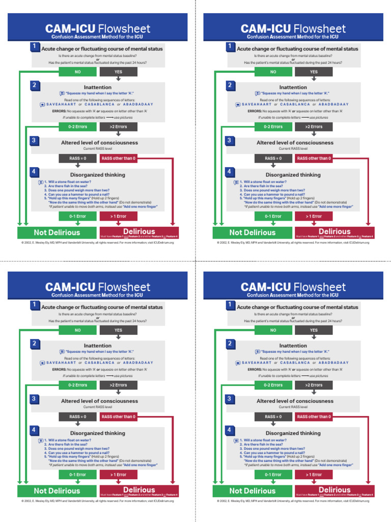 CAM-ICU Delirium Assessment Tool | PDF | Health Care | Cognitive Science