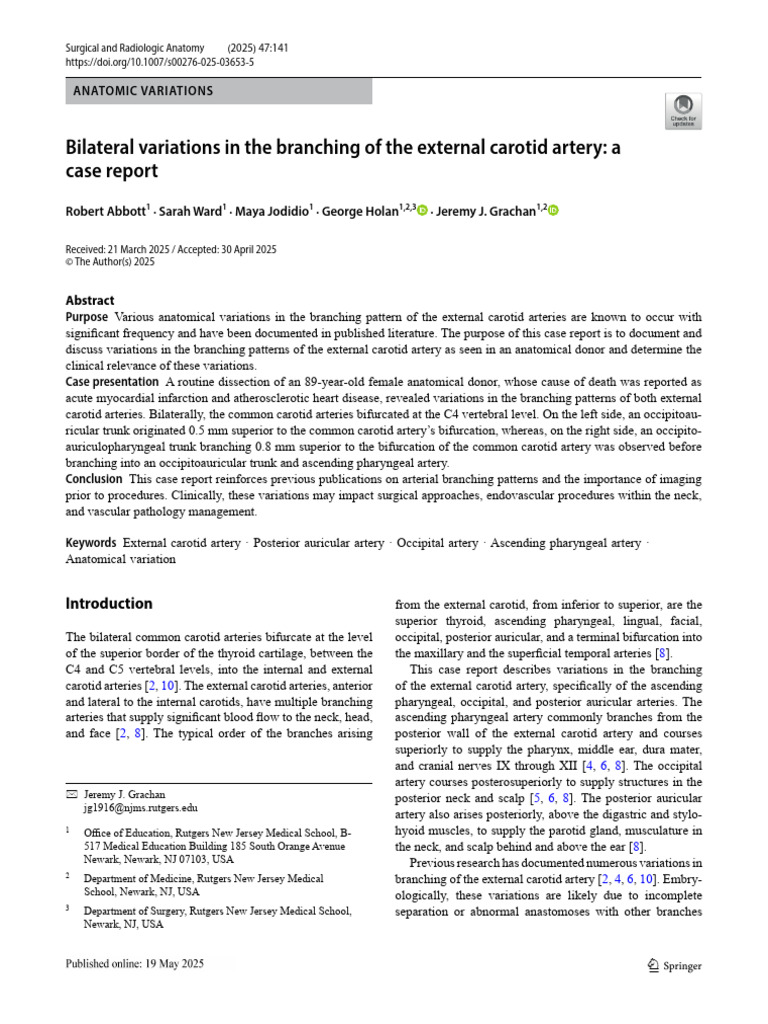 s00276-025-03653-5 | PDF | Common Carotid Artery | Human Anatomy