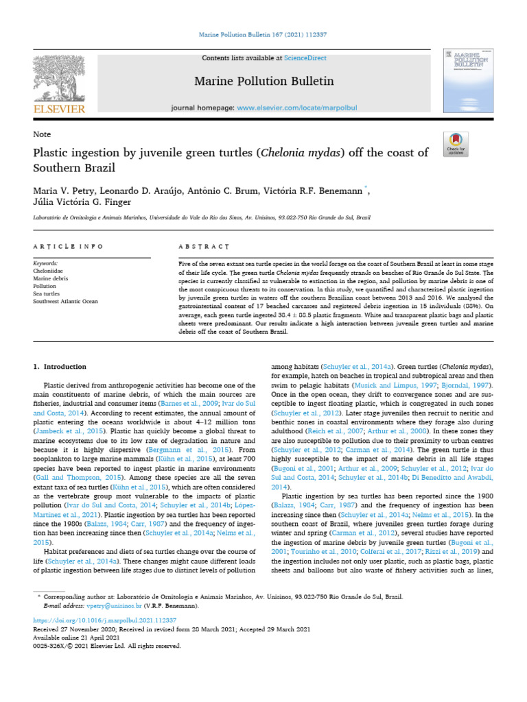 Plastic Ingestion by Juvenile Green Turtles (Chelonia Mydas) Off the ...