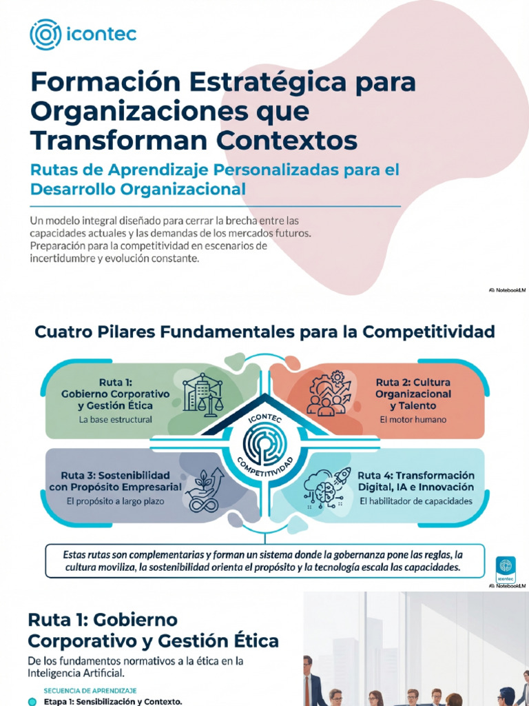 Rutas de Aprendizaje Para La Transformación Organizacional | PDF