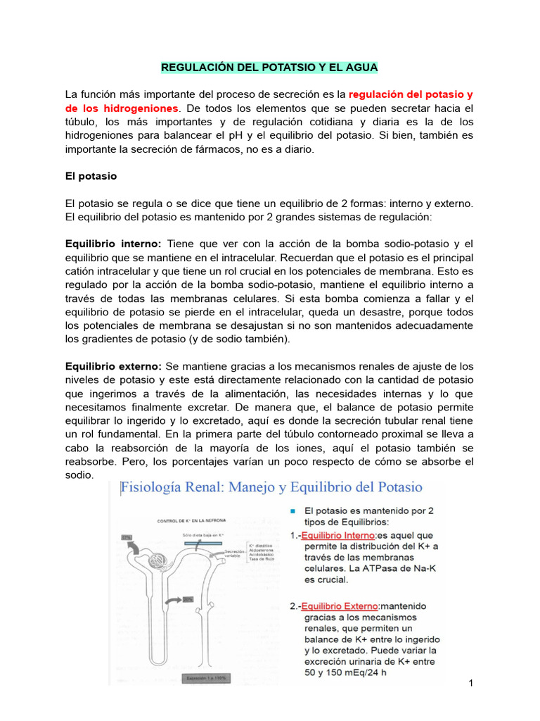 Regulación del Potasio y Agua en el Cuerpo | PDF | Potasio | Química