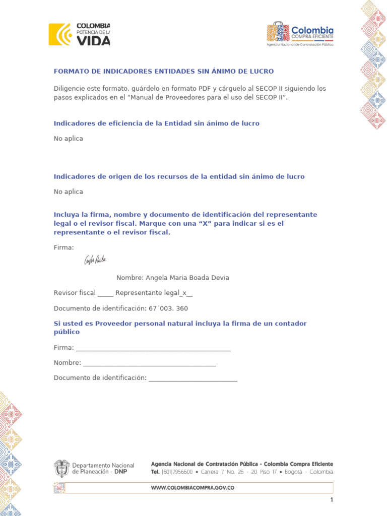 Formato de Indicadores para Entidades SIN ÁNIMO DE LUCRO | PDF