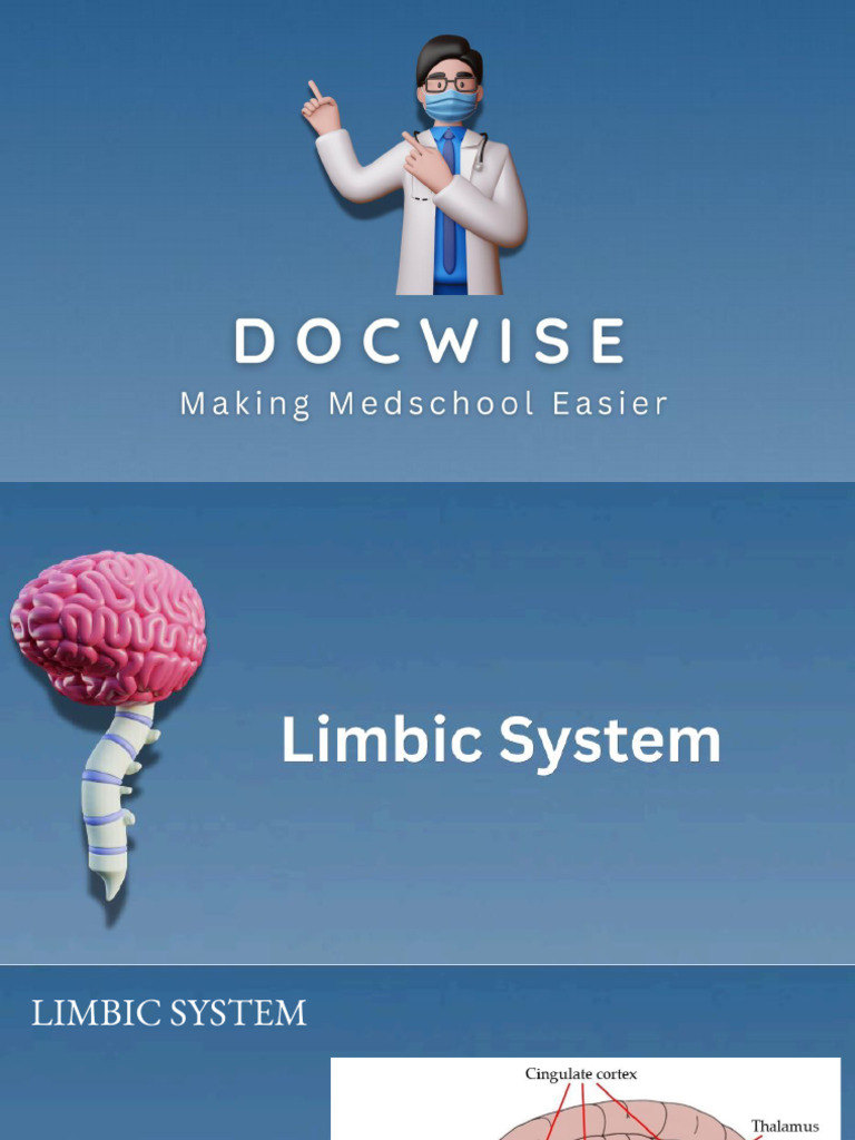 Understanding the Limbic System Functions | PDF