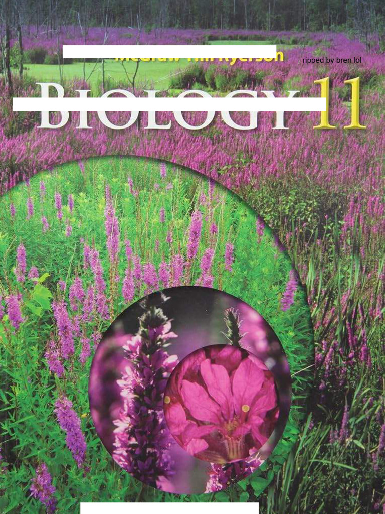 Understanding Ecosystems and Biodiversity | PDF | Cell (Biology ...