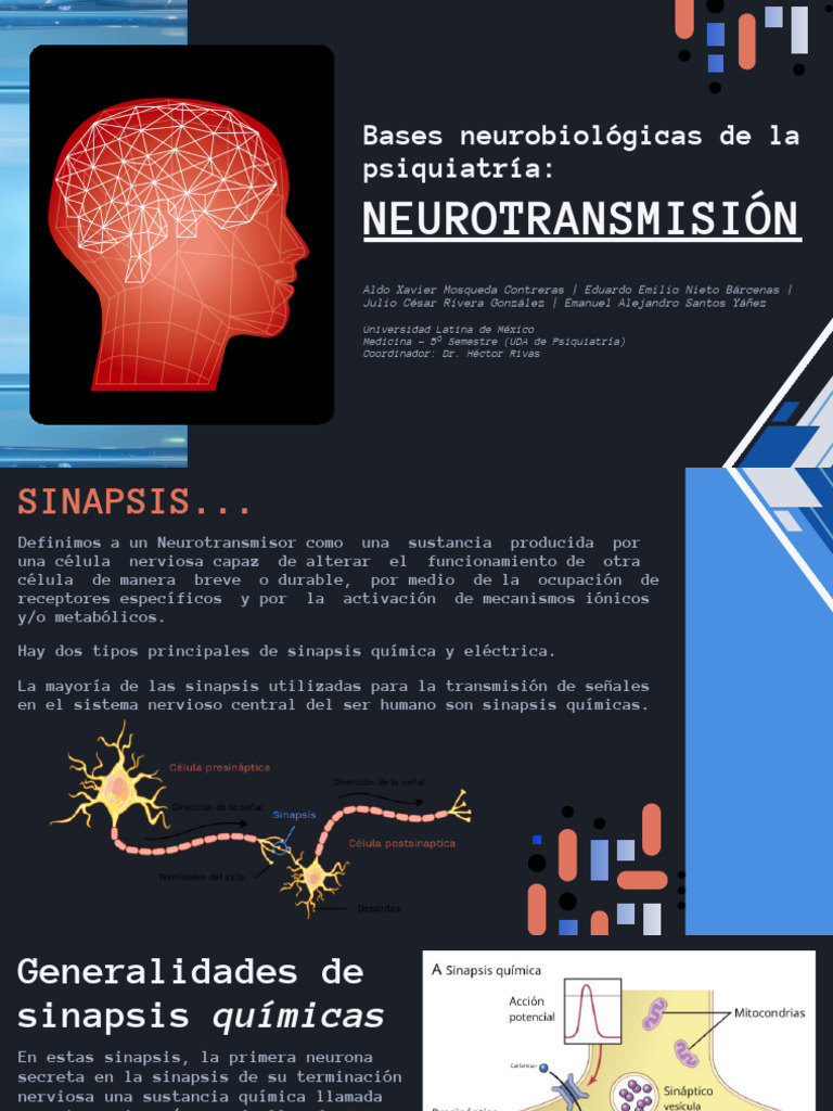 Neurotransmisores y Sinapsis en Psiquiatría | PDF | Sinapsis | Sinapsis ...