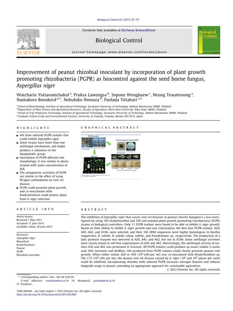 Enhancing Peanut Inoculants with PGPR | PDF | Root | Organisms