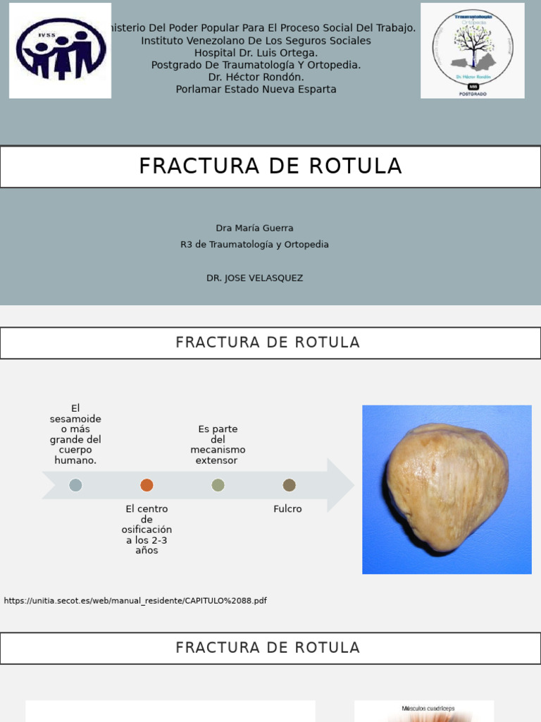 Fractura de Rótula: Diagnóstico y Tratamiento | PDF | Rodilla ...