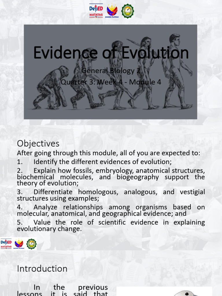 Evidence of Evolution in Biology | PDF | Homology (Biology) | Evolution