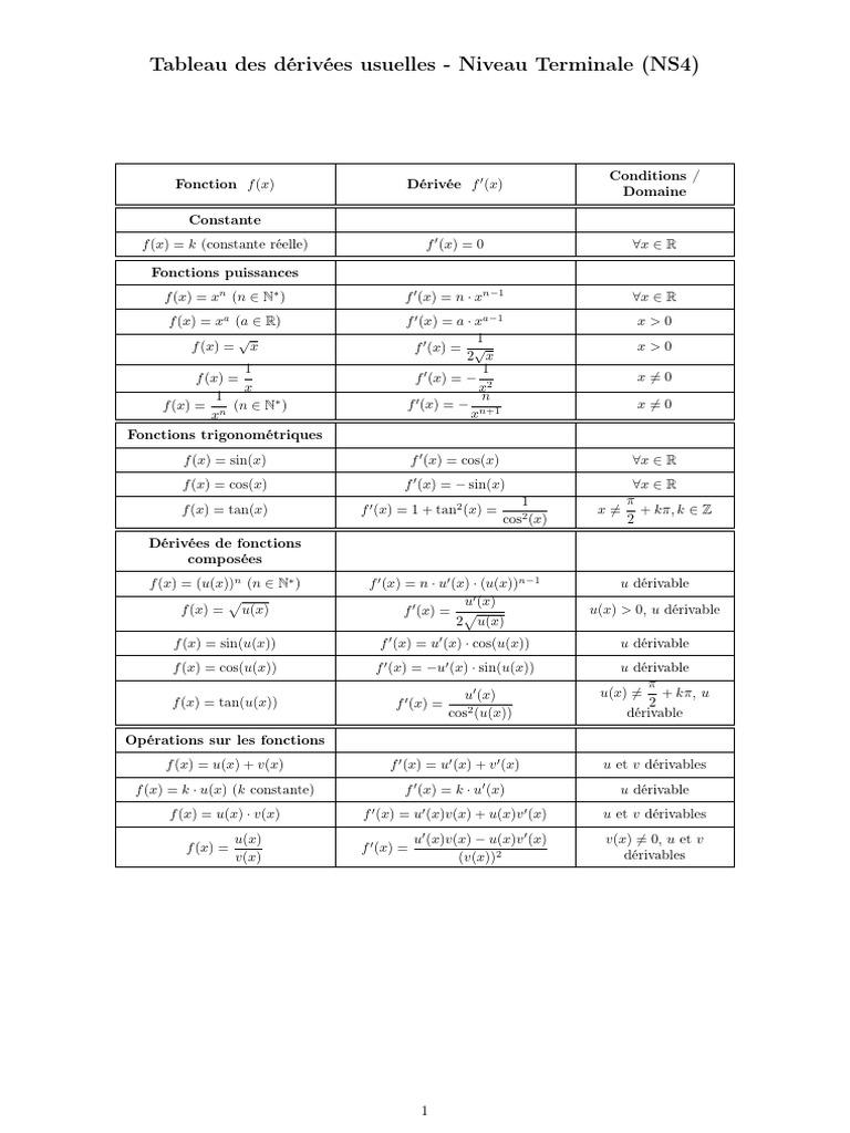 Dérivées Usuelles pour Terminale NS4 | PDF