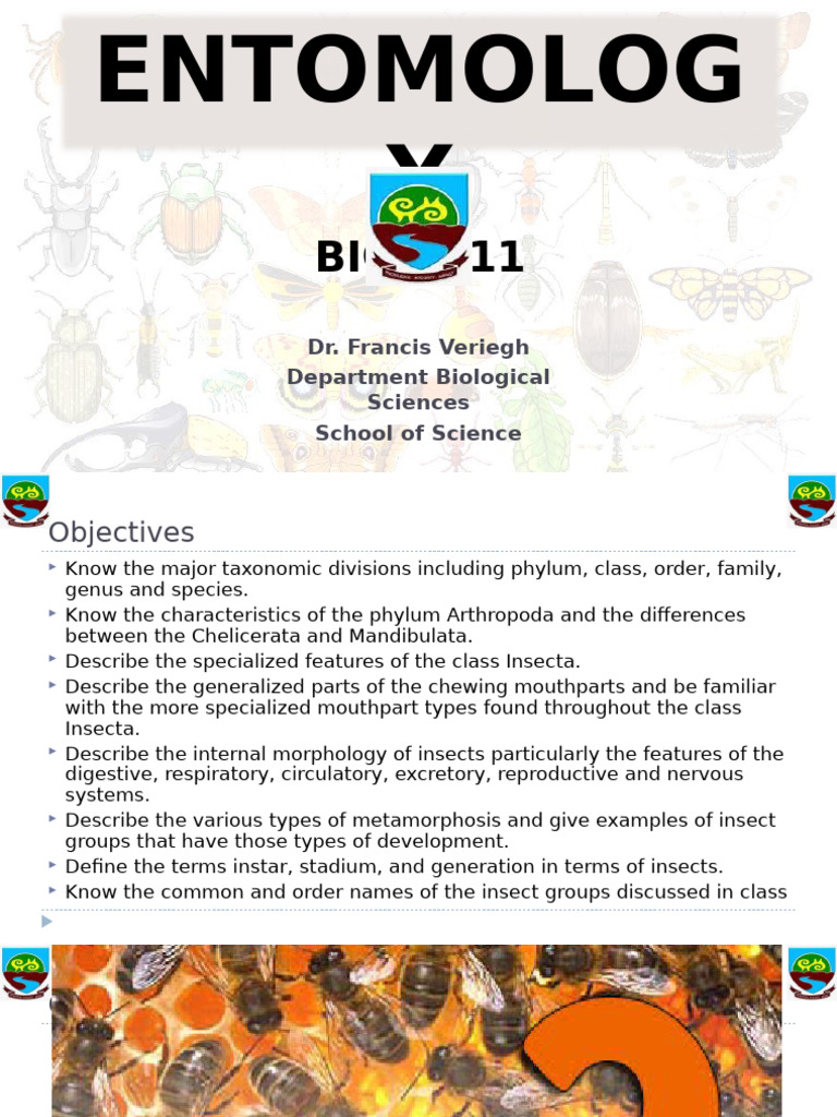 1 Entomology Introduction 02022023 | PDF | Insects | Spider