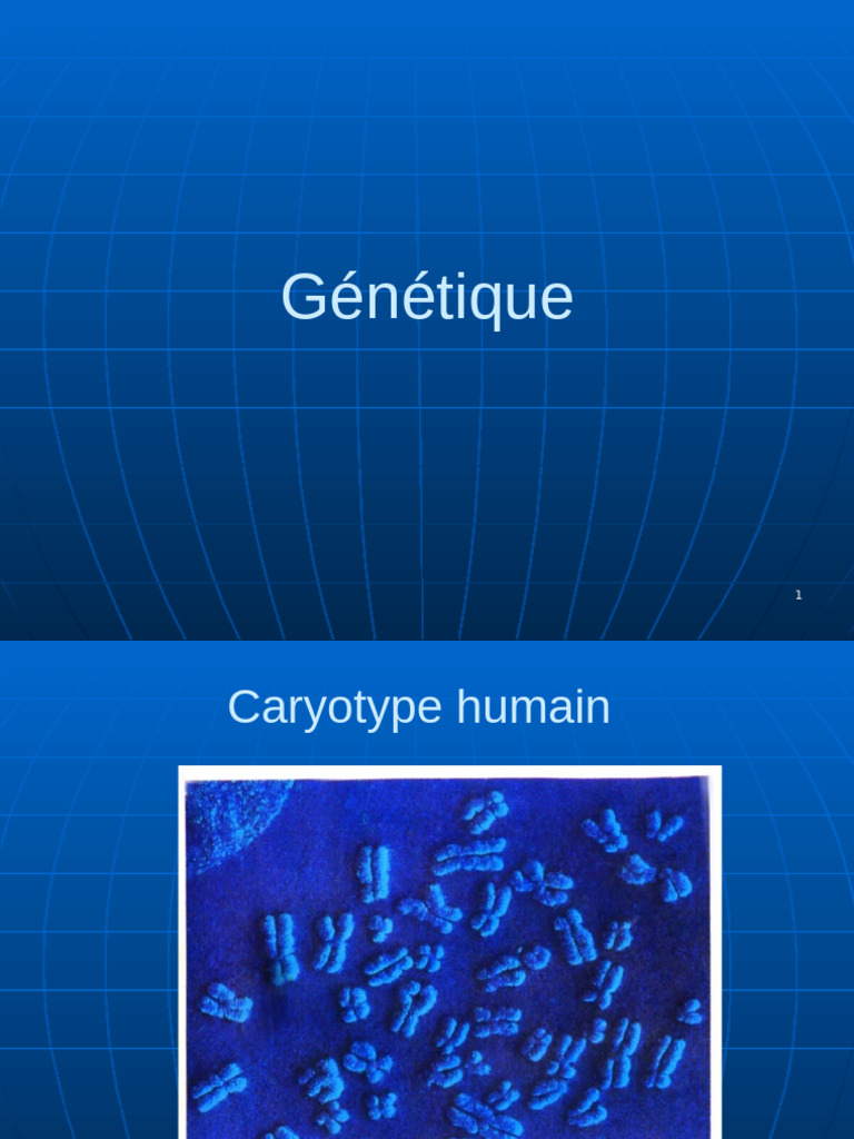 Caryotype et hérédité humaine | PDF