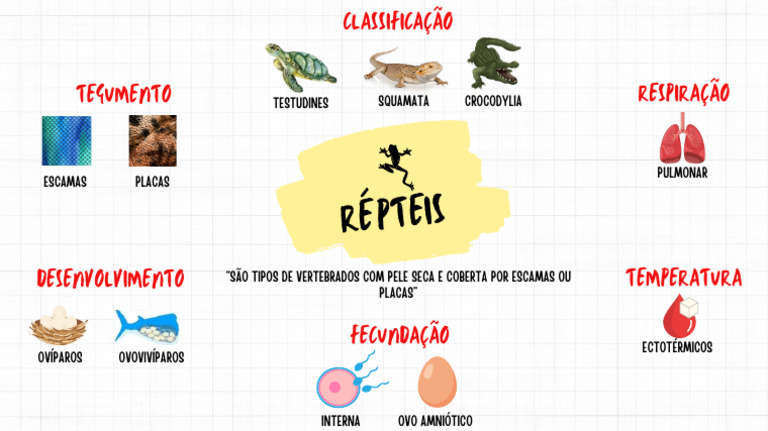 Características dos Répteis e Classificação | PDF