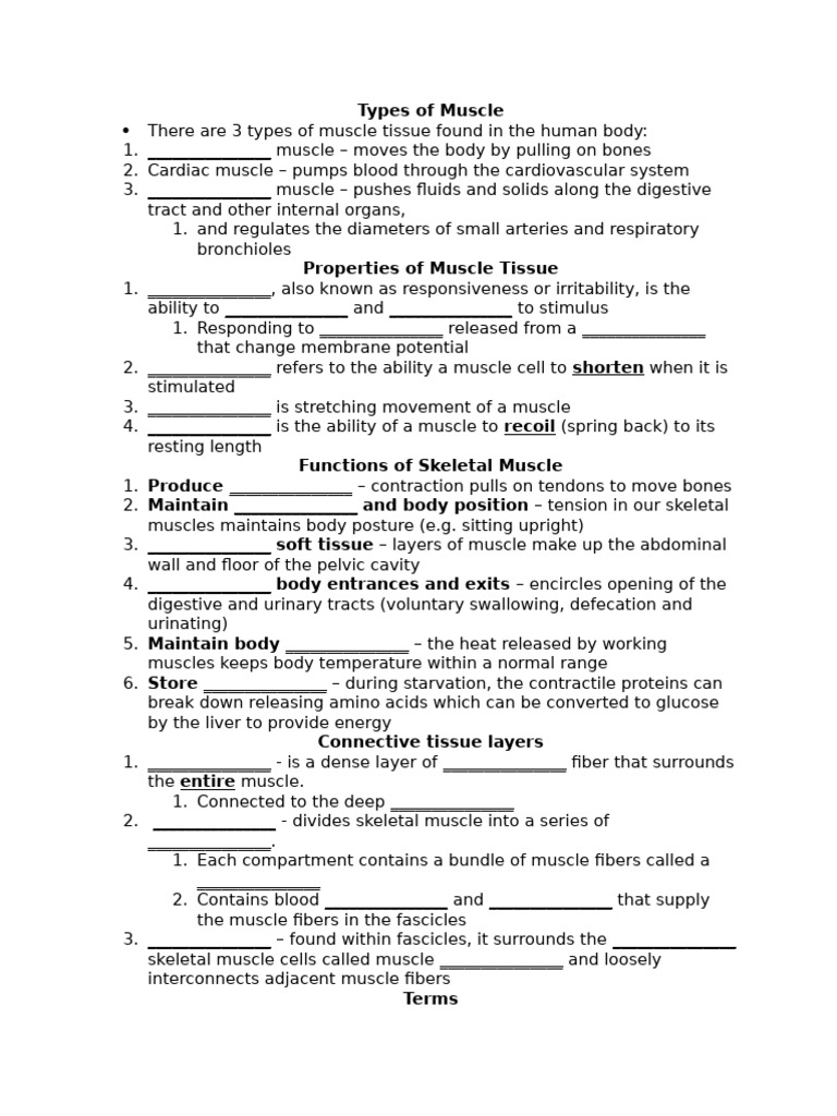 25f - Workbook Notes Muscular System Chapter 10 and 11 | PDF | Muscle ...