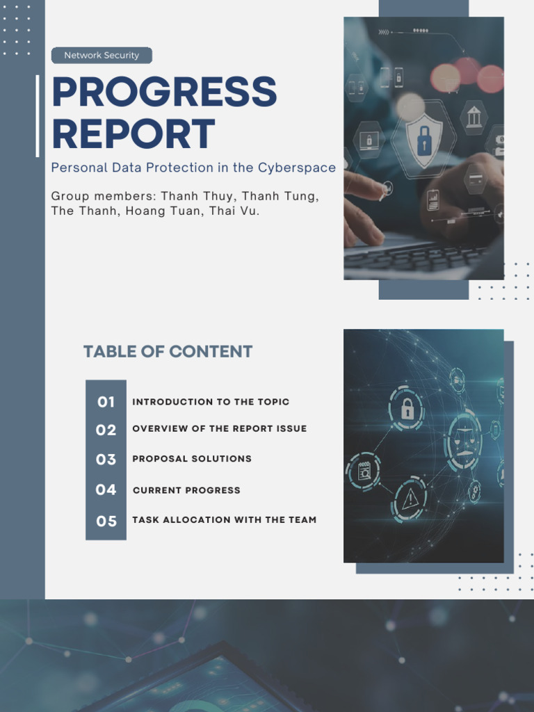 Personal Data Protection Progress Report | PDF | Password | Security