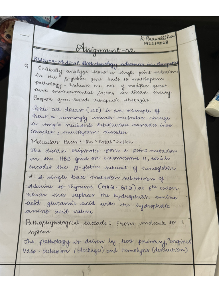 Assignment 2 | PDF