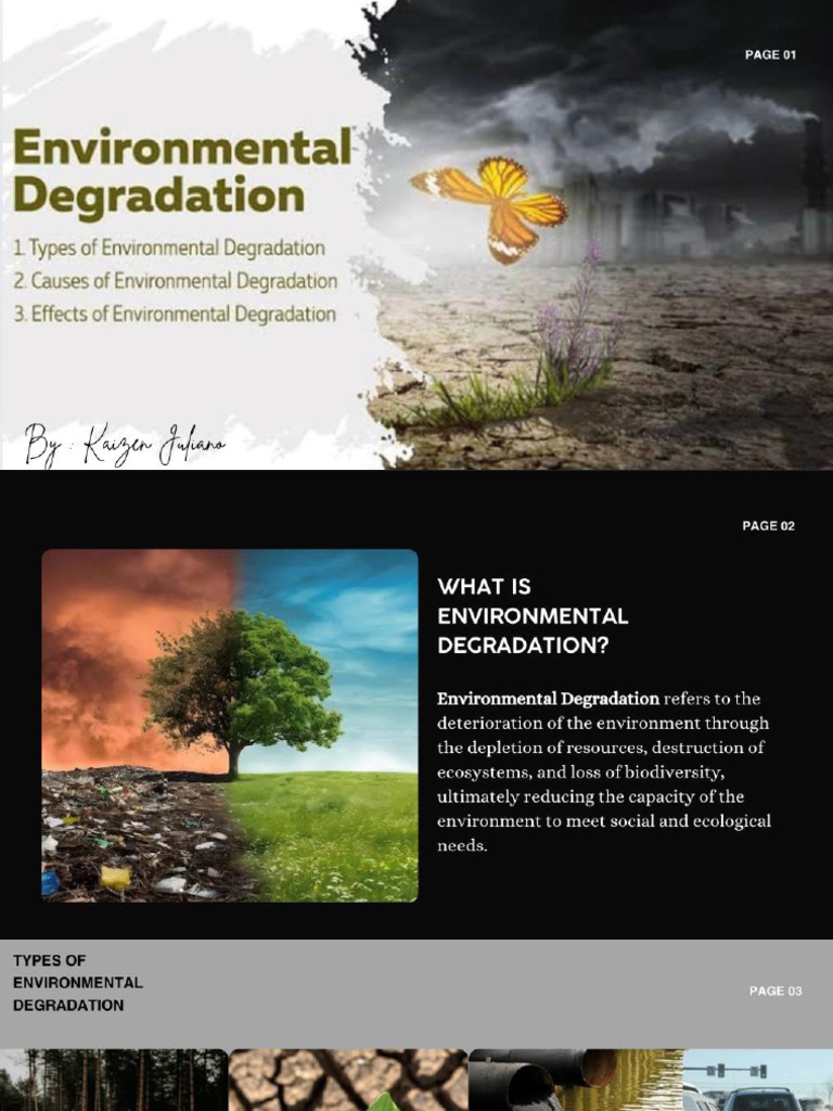 Lesson 12 - Environmental Degradation | PDF