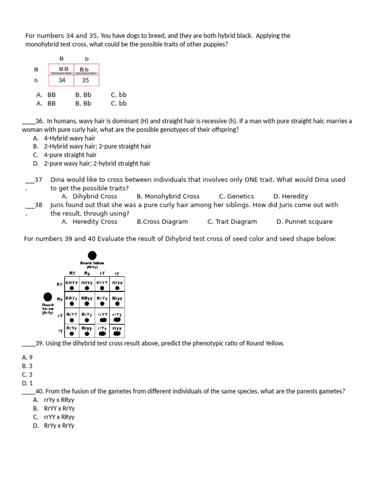 Genetics Test Cross Scenarios Explained | PDF