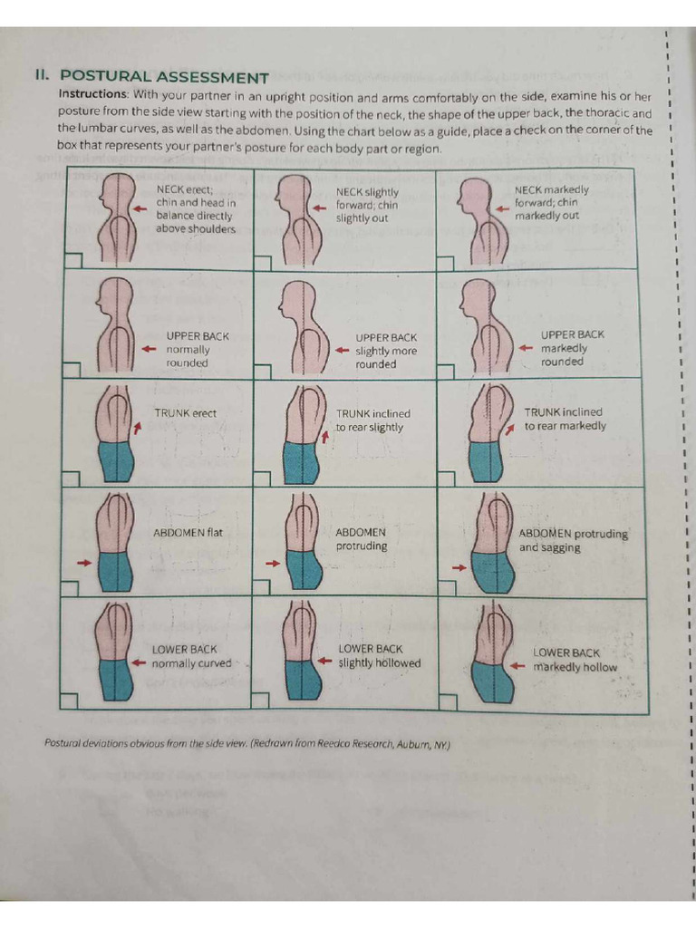 Postural Assessment | PDF