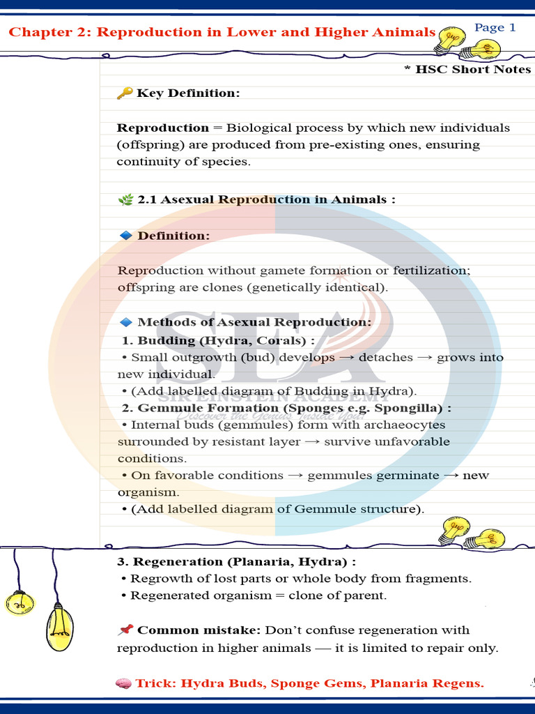 Reproduction in Lower and Higher Animals_b3011eef-3077-40fc-9aaa ...