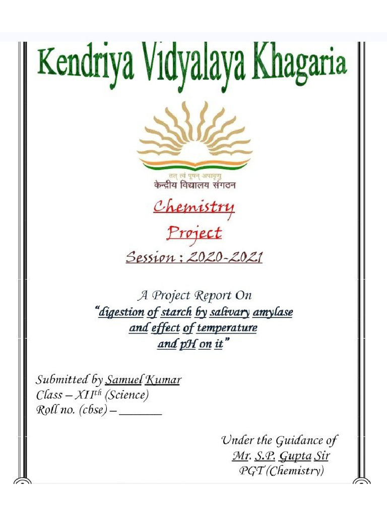 Investigatory File On My Topic | PDF