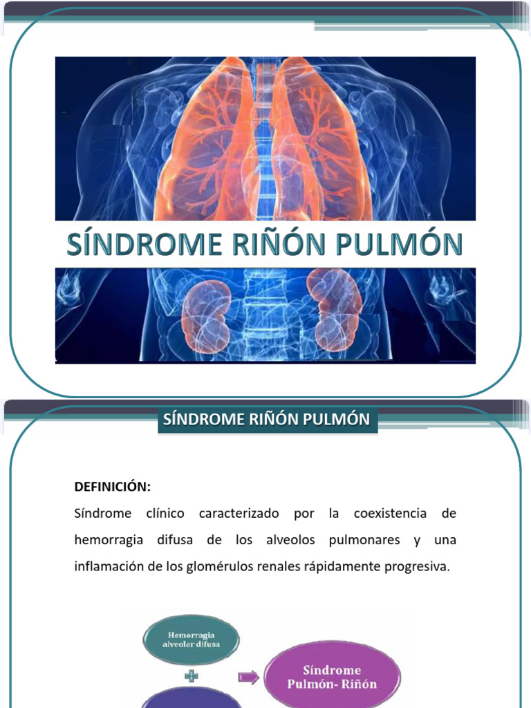 Sindrome pulmon riñon | PDF | Medicina | Enfermedades y trastornos humanos