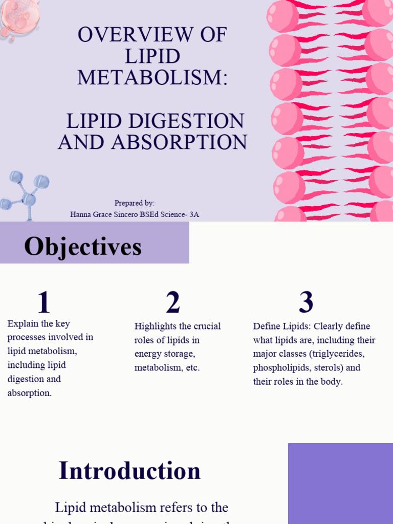 Overview of Lipid Metabolism Processes | PDF | Lipid | Metabolism