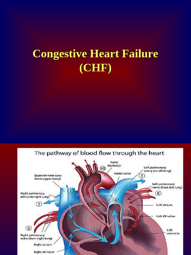 11.CHF -Lecture 1 | PDF | Heart Failure | Heart