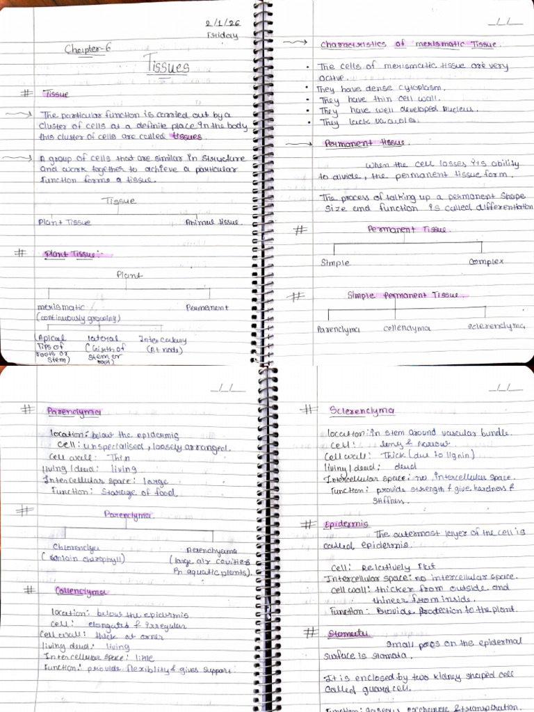 Chapter 6 Notes | PDF