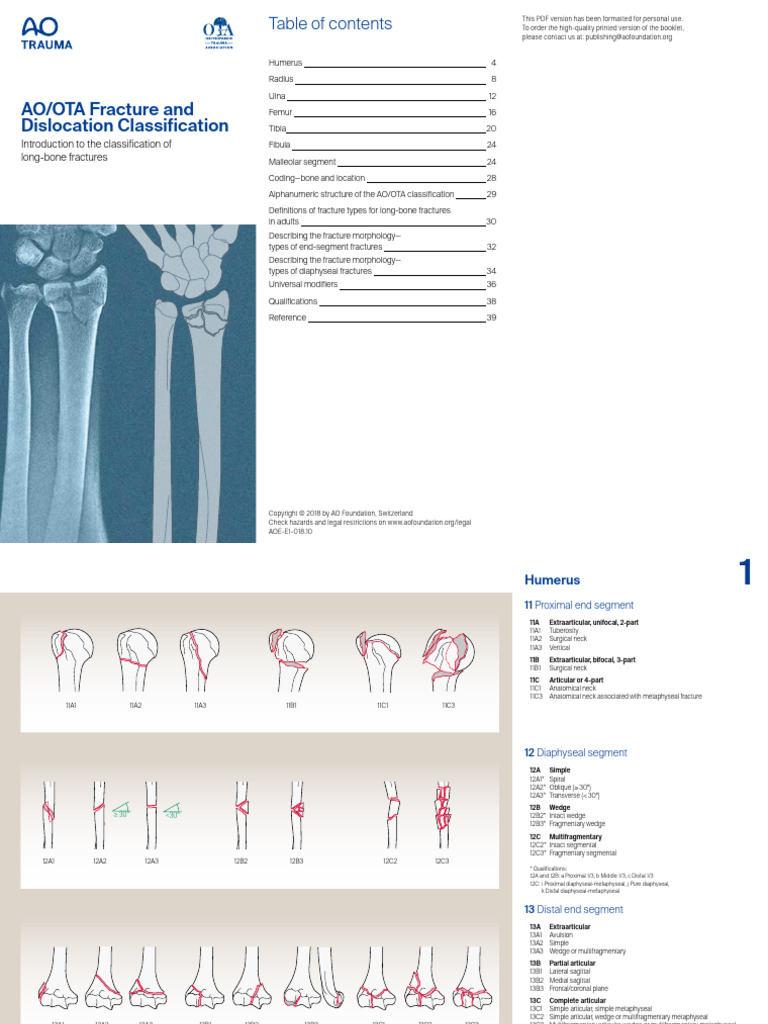 AOOTA Classification 2018 Classification Brochure 2107071005 | PDF ...