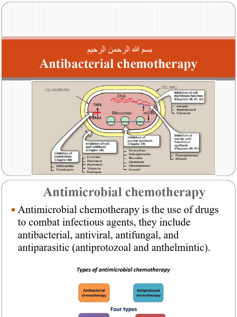 Antibacterial Chemotherapy Principles | PDF | Penicillin | Beta Lactamase