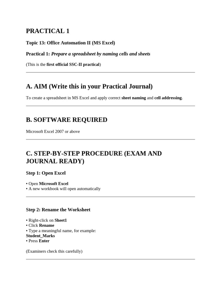 MS Excel Practical Guide: Formatting & Functions | PDF | Microsoft ...