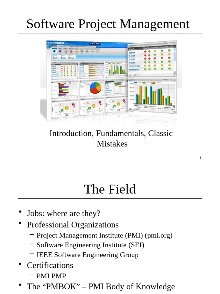 Software Project Management Essentials | PDF | Project Management ...