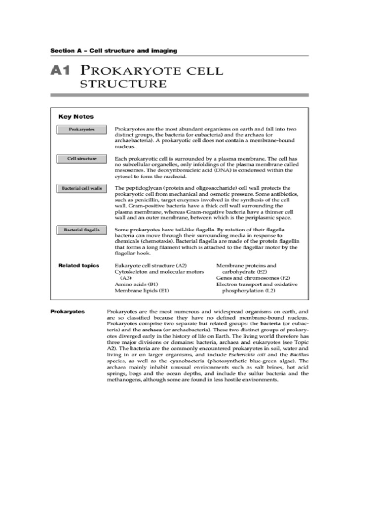 BCM 206 Cell Structure | PDF