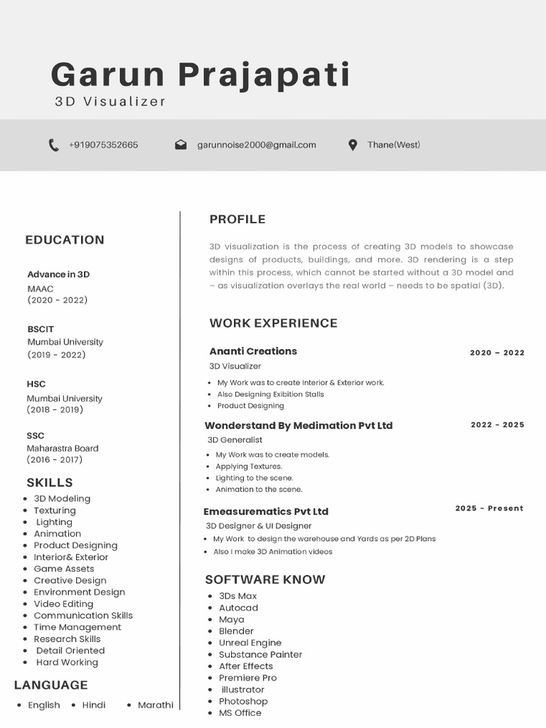 Minimalist Modern Professional CV Resume | PDF