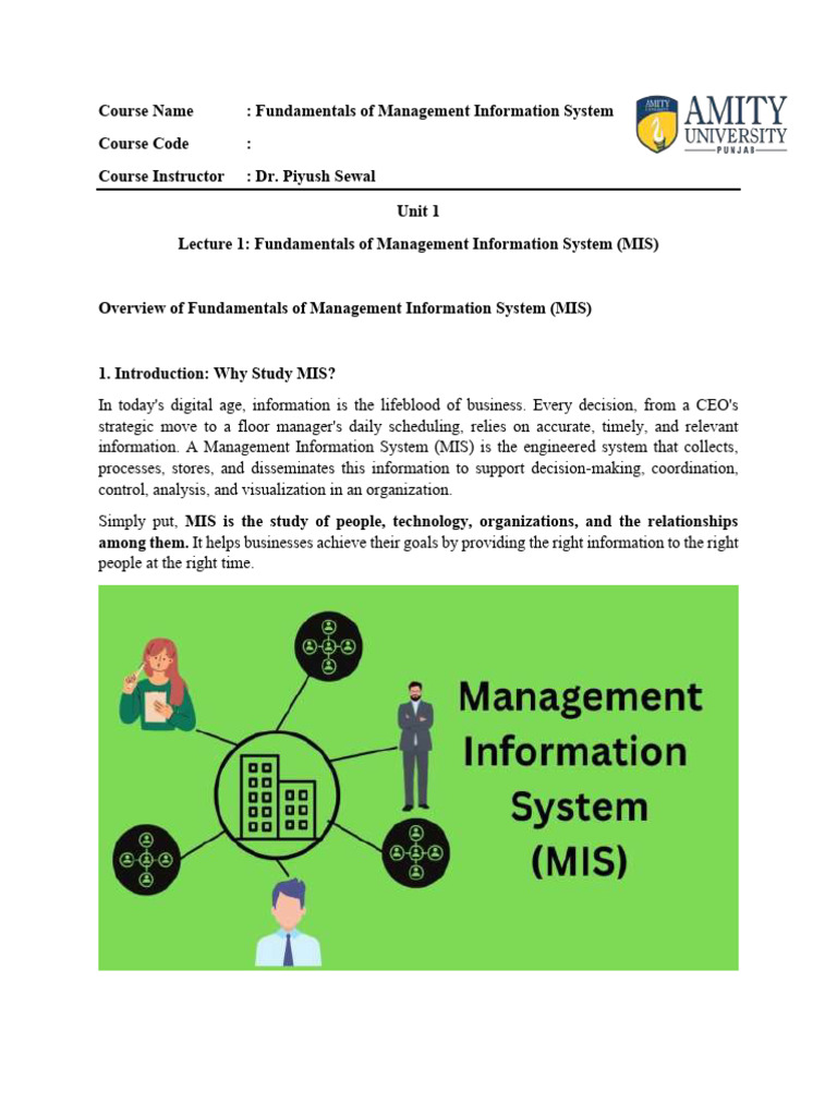 Fundamentals of Management Information Systems | PDF | System ...