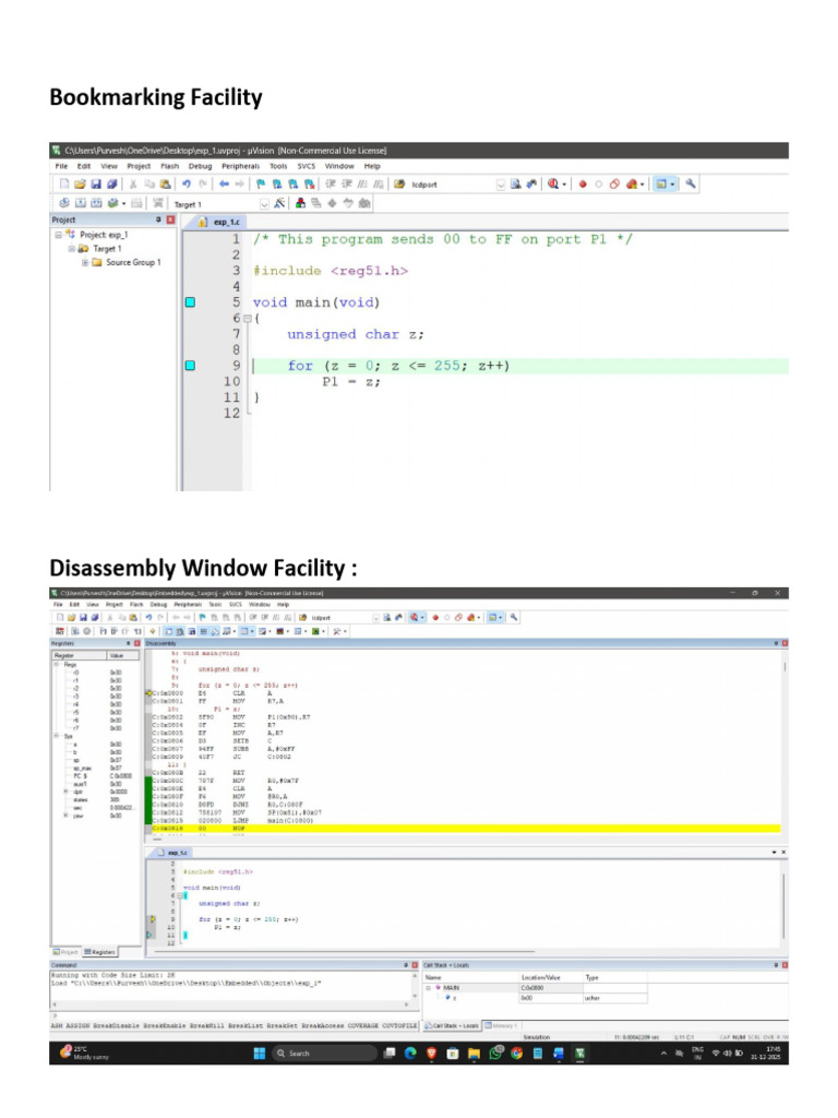 exp2_es | PDF