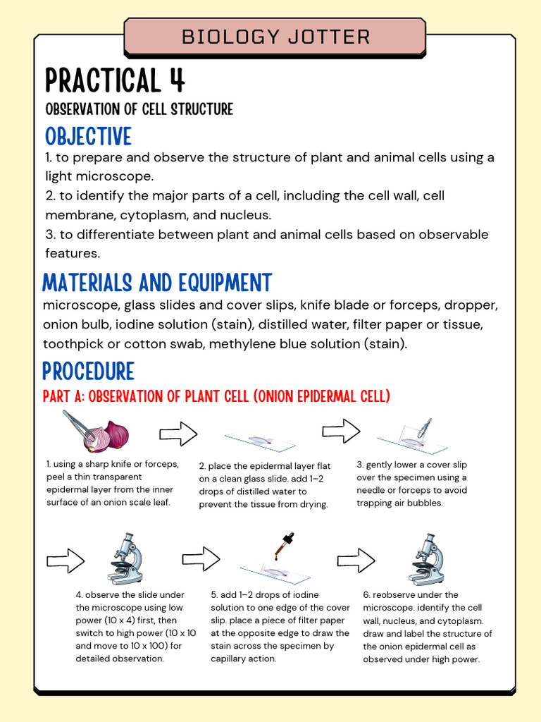 Plant and Animal Cell Observation Guide | PDF