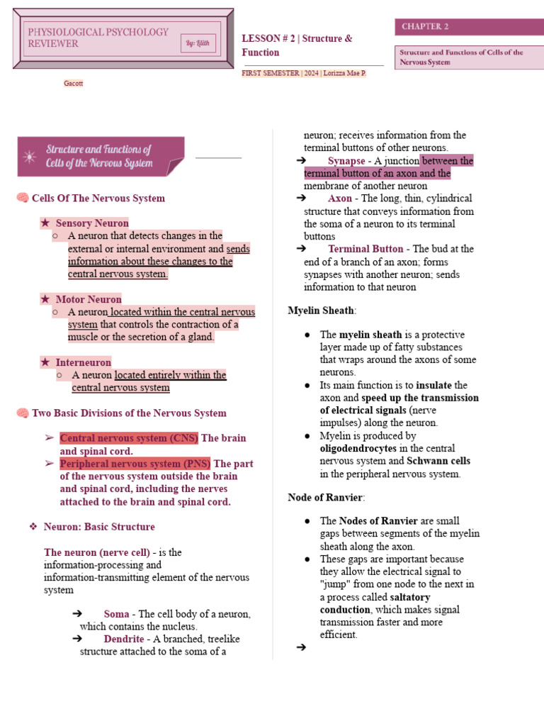 PHYSIO #02_ Structure and Functions of Cells of the Nervous System ...