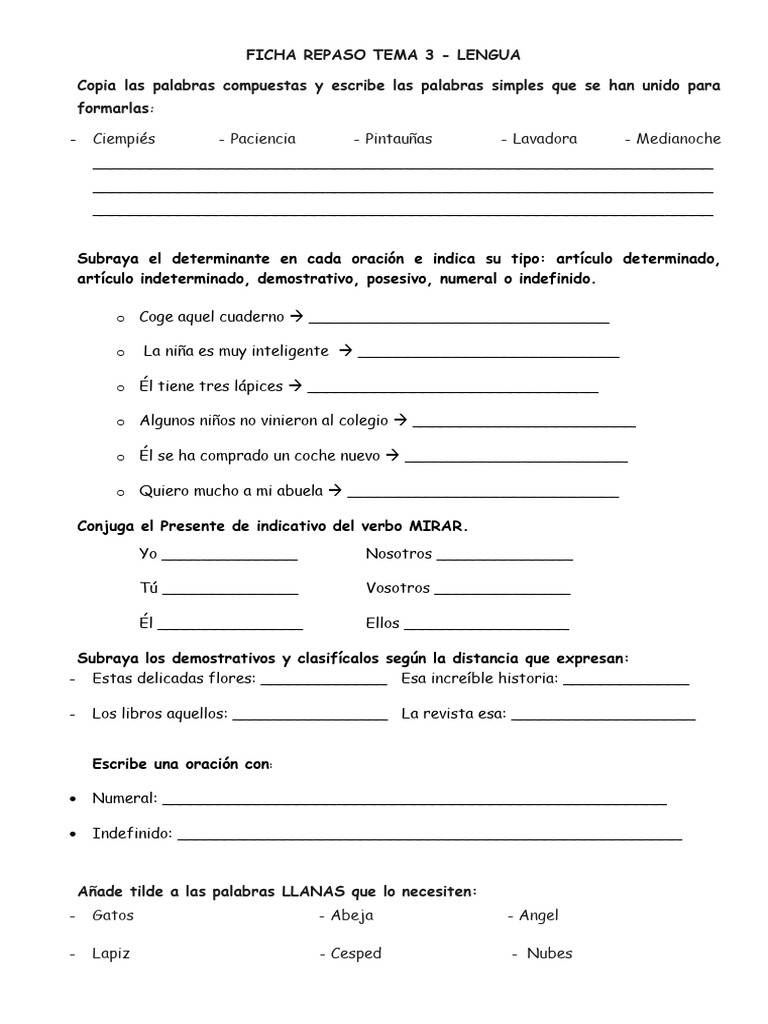 Repaso de Lengua: Palabras y Gramática | PDF