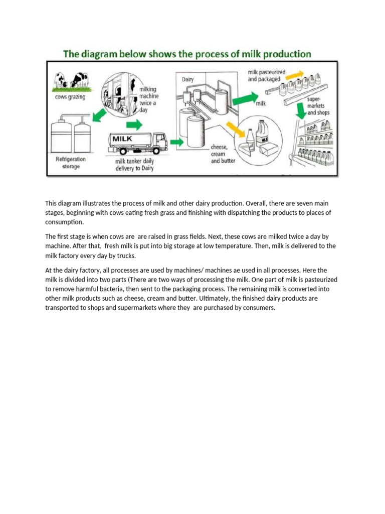 Dairy Production Process Explained | PDF