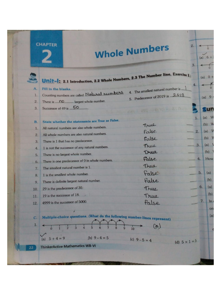 Whole Numbers | PDF