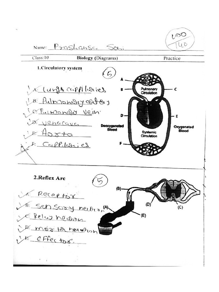 Biology All Diagrams One Shot ? | PDF