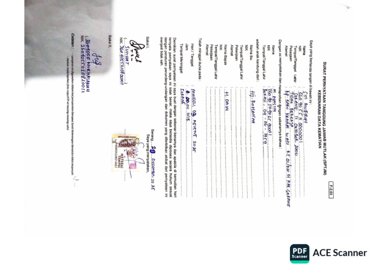 ACE Scanner - 2026 - 01 - 21 | PDF