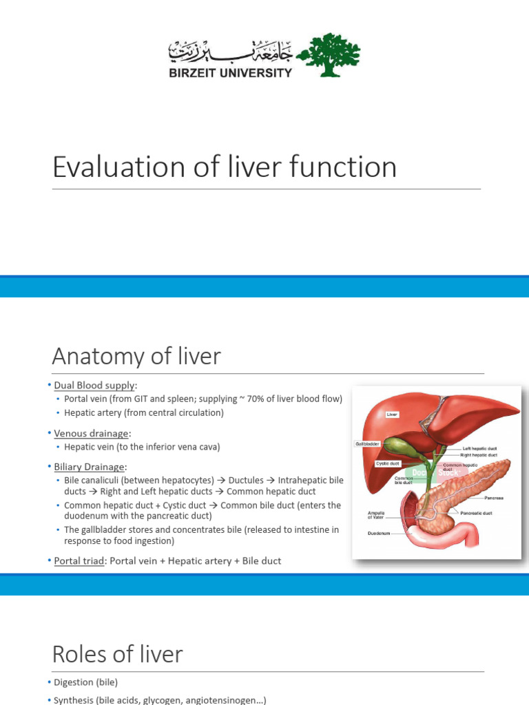 LM10 +Evaluation+of+Liver+Function | PDF | Liver | Cirrhosis