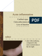 Acute Inflammation