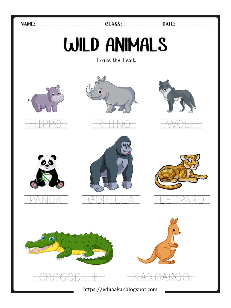 Animal Worksheet | PDF